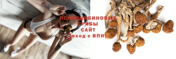 дмт Лагань