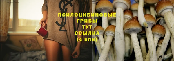 шишки Ладушкин