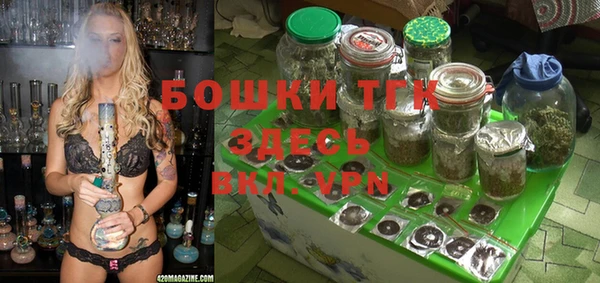 дмт Лагань