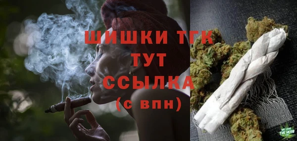 дмт Лагань