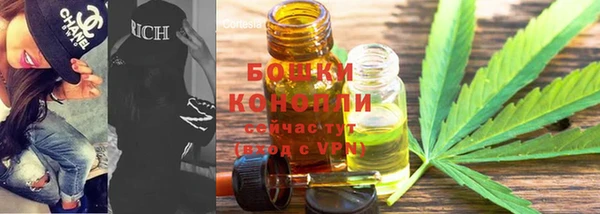 дмт Лагань
