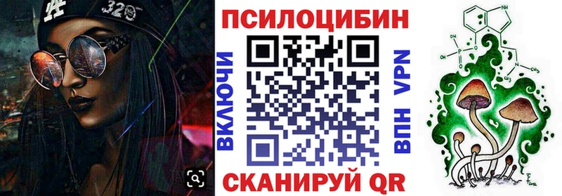 наркотики  Томилино  Псилоцибиновые грибы Psilocybe 